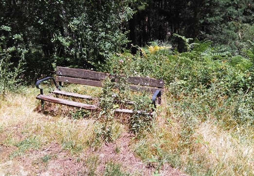 “La espera”   L. RIBERA